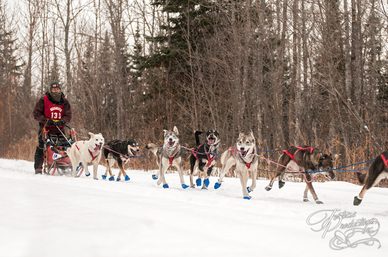 Beargrease 2015 Mid Distance Kevin Mathais on Trail