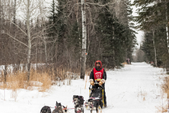 Beargrease 2015 Mid Distance Bill Olson on Trail