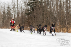 Beargrease 2015 Mid Distance Billie Diver on Trail