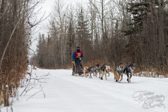 Beargrease 2015 Mid Distance Tim Chishom on Trail