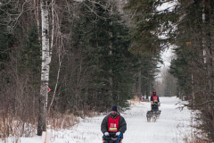 Beargrease 2015 Mid Distance Tony Mai and Bill Olson on Trail
