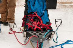 Beargrease 2015 Mid Distance Alex LaPlante's Sled at Start