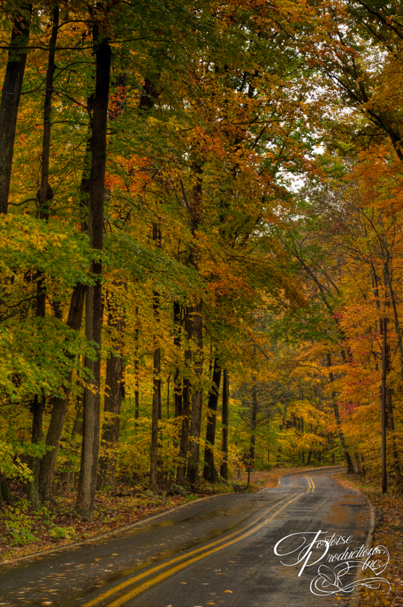 Maryland Autumn Road