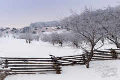 Frost and the Split Rail Fence