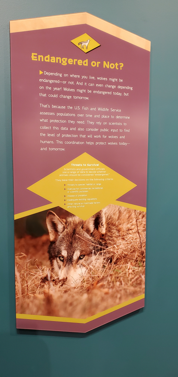 Information Display at the International Wolf Center in Ely, MN - 2023