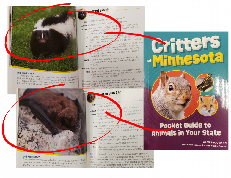 Critters of Minnesota: Pocket Guide to Animals in Your State - 2023