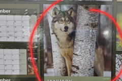 Wildlife Calendar - 2023