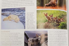 Animal Encyclopedia - 2023