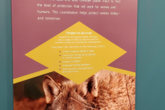 Information Display at the International Wolf Center in Ely, MN - 2023
