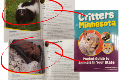 Critters of Minnesota: Pocket Guide to Animals in Your State - 2023