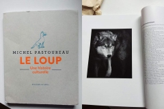 Le Loup - French Book - 2018