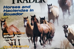 Today's Horse Trader - March 2006