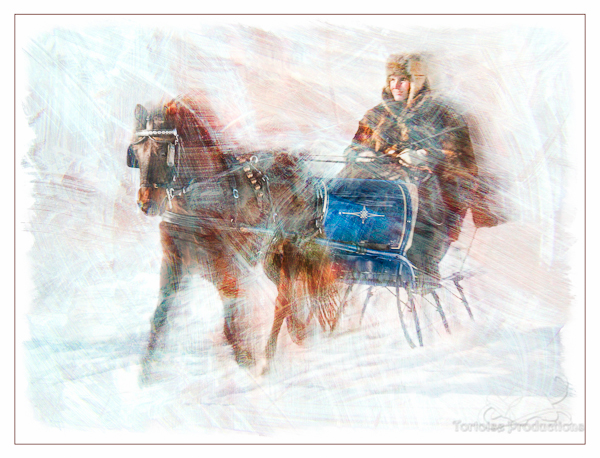 Sleigh and Cutter Rally